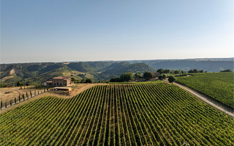 Tenuta Orsini 9+3: Agriculture, Champ, Plantation, Zone Rurale, Paysage, Plaine, Lot Terre, Surgir, Ferme, Vignoble
