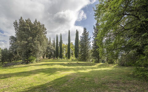 Casa Clara Pool, Casole Elsa, Monti: Feuille, Herbe, Arbre, Environnement Naturel, La Nature, Vert, Branche, Végétation, Paysage Naturel, Arbuste
