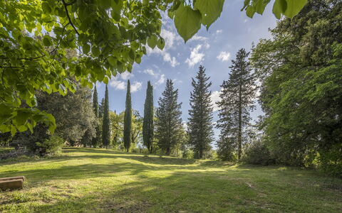 Casa Clara Pool, Casole Elsa, Monti: Feuille, Arbre, La Nature, Vert, Environnement Naturel, Branche, Végétation, Paysage Naturel, Arbuste, Communauté Des Plantes
