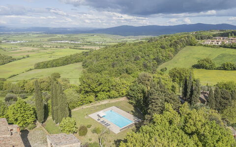 Casa Clara Pool, Casole Elsa, Monti: Paysage, Biens, Aménagement Paysager, Plantation, Ferme, Villa, Hacienda, Piscine, À Feuilles Persistantes