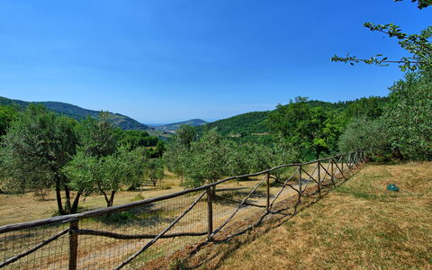 Poggio Conca: La Nature, Ciel, Environnement Naturel, Paysage Naturel, Arbre, Région Sauvage, Montagne, Réserve Naturelle, Zone Rurale, Station De Montagne