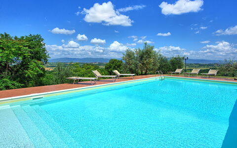 Villa Ulivi: L'Eau, Ciel, Nuage, Piscine, Bleu, Bleu Azur, Rectangle, Ombre, Plante, Herbe