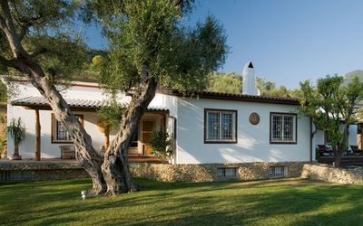 location de vacances Villa Oliveta - Pietrasanta, Toscane, Italie