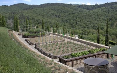 La Maccinaia 14