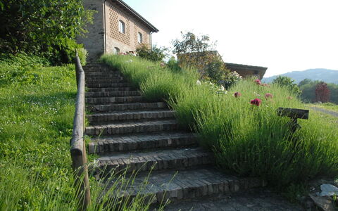 La Cenerara: Herbe, Paysage Naturel, Famille Grass, Lot Terre, Passerelle, Paysage, Plante, Chalet, Arbuste