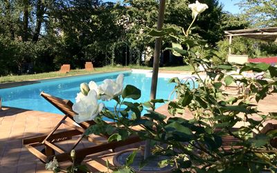 La Cenerara: Propriété, Fleur, Plante, Immobilier, Botanique, Maison, Piscine, Arbre, Domicile, Villa