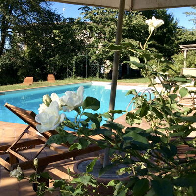 La Cenerara: Propriété, Fleur, Plante, Immobilier, Botanique, Maison, Piscine, Arbre, Domicile, Villa