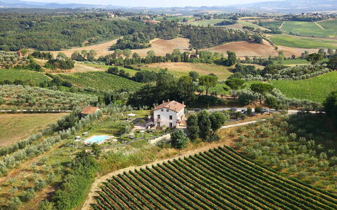 Logement:&nbsp;Poggio Olivo 870.2