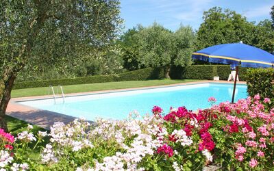 Rielli: Piscine, Propriété, Fleur, Jardin, Plante, Botanique, Arbre, Printemps, Loisir, Immobilier