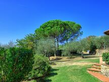 La Selva