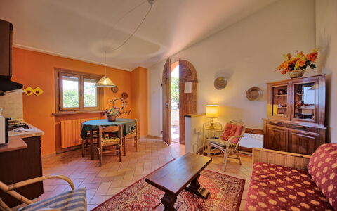 Logement:&nbsp;Belvedere