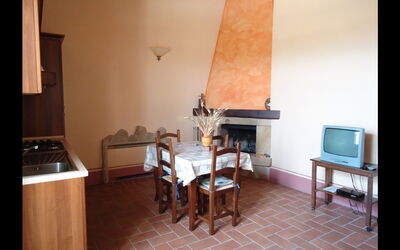 Logement:&nbsp;Gatto
