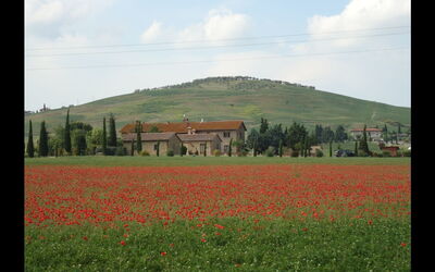 Logement:&nbsp;Cinghialino