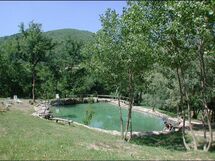 Logement:&nbsp;Rosa Canina