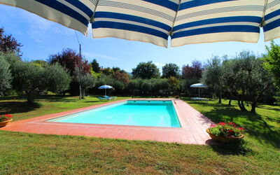 Ca di Maestro: Plante, Propriété, L'Eau, Parapluie, Ciel, Bleu Azur, Arbre, Piscine, Ombre, Bâtiment