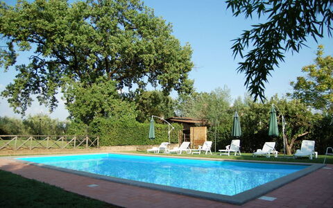 Casa Grion: L'Eau, Plante, Ciel, Propriété, Vert, Bleu Azur, Ombre, Herbe, Piscine, Arbre