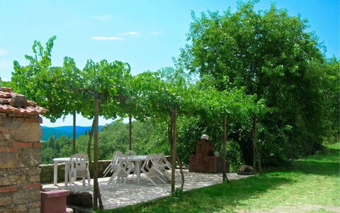 Casa Rossa: Ombre, Printemps, Mobilier De Jardin, Tableau De Plein Air, Jardin, Chaise, Vignoble, Arrière-Cour, Plantation