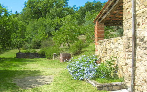 Casa Rossa: Arbuste, Jardin, Communauté Des Plantes, Zone Rurale, Couverture De Sol, Mur De Pierre, Printemps, Arrière-Cour, Brique