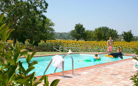 Il Viaggiolo: Piscine, Loisir, Mobilier De Jardin, Des Loisirs, Jardin, Recours, Vacances, Ombre, Aménagement Paysager, Eco Hôtel