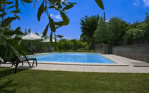 Podere San Bono: Piscine, Mobilier De Jardin, Recours, Ombre, Jardin, Eco Hôtel, Aménagement Paysager, Arrière-Cour, Balancelle, Biens