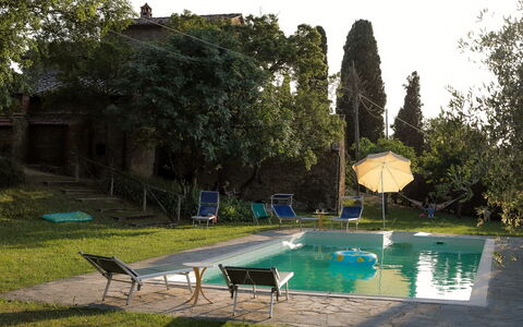 Olivo: L'Eau, Plante, Ciel, Vert, Piscine, Arbre, Ombre, Mobilier De Jardin, Herbe, Bâtiment