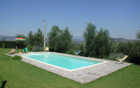 Olivo: Ciel, L'Eau, Plante, Bâtiment, Lot Terre, Rectangle, Ombre, Loisir, Herbe, Piscine