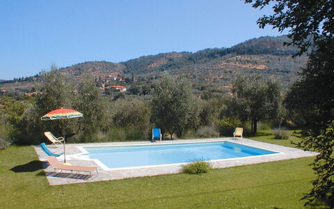 Olivo: L'Eau, Ciel, Plante, Piscine, Montagne, Ombre, Rectangle, Arbre, Lot Terre, Mobilier De Jardin
