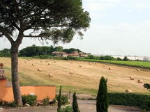 Logement:&nbsp;Double Bedroom