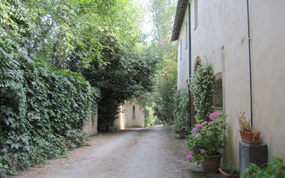 Logement:&nbsp;Borgo