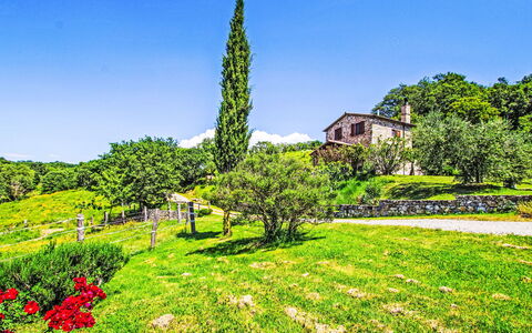 Casalini: Paysage Naturel, Arbuste, Paysage, Zone Rurale, Jardin, Lot Terre, Couverture De Sol, Chalet, Prairie