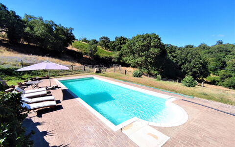 Casalini: L'Eau, Ciel, Plante, Propriété, Piscine, La Nature, Bleu Azur, Arbre, Rectangle, Mobilier De Jardin