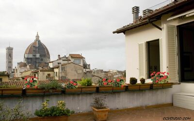 location de vacances Apartment Oriuolo - Florence, Toscane, Italie