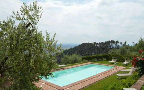 Nel Guasto: Piscine, Propriété, Maison, Immobilier, Arbre, Bâtiment, Biens, Recours, Herbe, Vacances