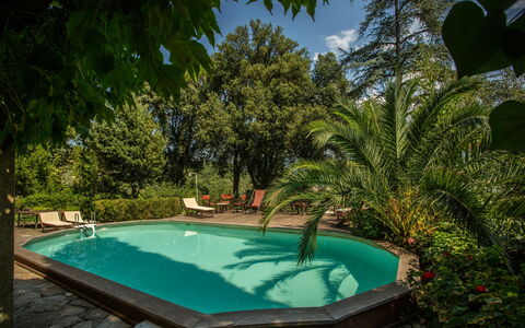 Villa Pedone: L'Eau, Plante, Piscine, Bleu Azur, Botanique, Ciel, Nuage, Ombre, Herbe, Loisir