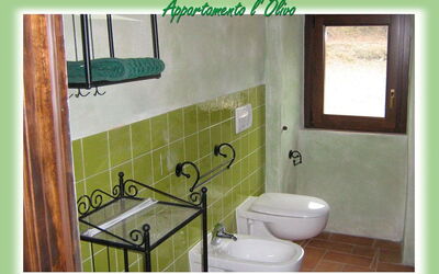 Logement:&nbsp;L'olivo