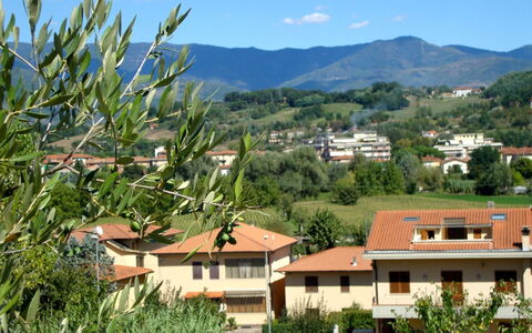 Mugnai Home
