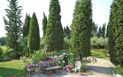 Casa Cipressi: Arbre, Thuya, Propriété, Plante, Jardin, Arbuste, Biome, Suppression Des Plantes Ligneuses, À Feuilles Persistantes, Herbe