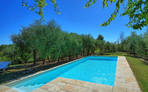 Casa Cipressi: Piscine, Propriété, Immobilier, Biens, Domicile, Maison, Arbre, Arrière-Cour, Zone Résidentielle, Loisir