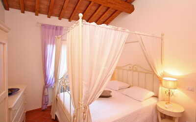 Logement:&nbsp;Virginia 7