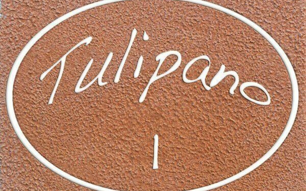Logement:&nbsp;Tulipano