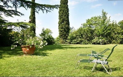 Lawn in the garden
