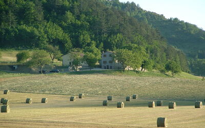 Marradi
