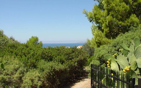 Casa Dei Lentischi: Feuille, Vert, Végétation, Arbuste, Communauté Des Plantes, Mer, Océan, Jardin, Formations Arbustives, À Feuilles Persistantes