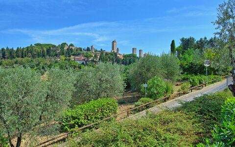 Poggiluglio: Végétation, Arbre, Biome, Région Sauvage, Ciel, Zone Urbaine, Botanique, Plante, Colline, Jardin