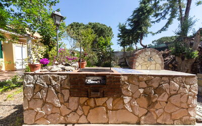 Orchidea