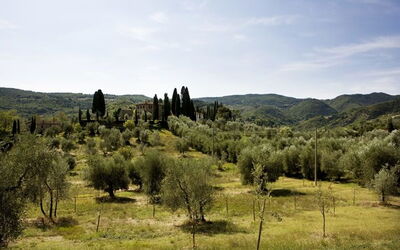 Villa Cerchi