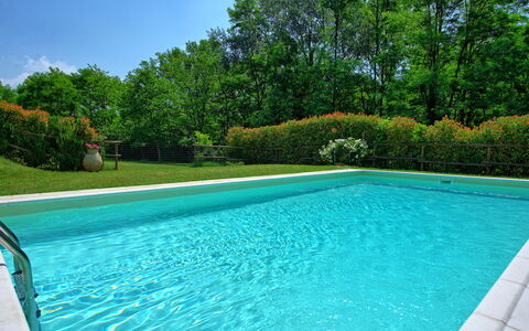 Casa Ovile: L'Eau, Plante, Ciel, Piscine, Vert, Bleu Azur, Rectangle, Ombre, Arbre, Herbe