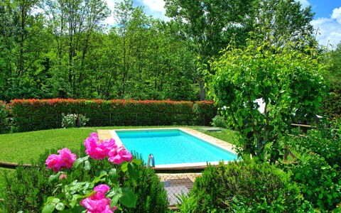 Casa Ovile: L'Eau, Plante, Nuage, Fleur, Ciel, La Nature, Botanique, Paysage Naturel, Arbre, Piscine