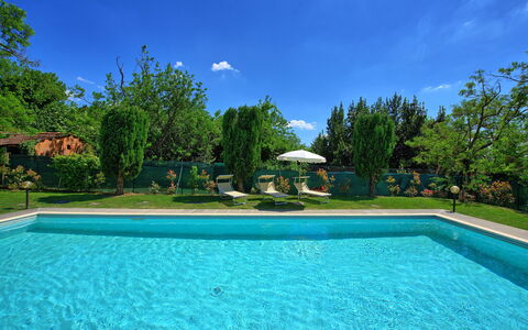Il Gelso Di Mario
