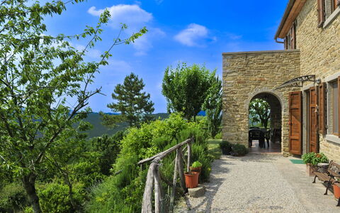Casetta i Ciliegi: Jardin, Chalet, Ferme, Ombre, Aménagement Paysager, Biens, Cour, Arrière-Cour, Mur De Pierre, Hacienda